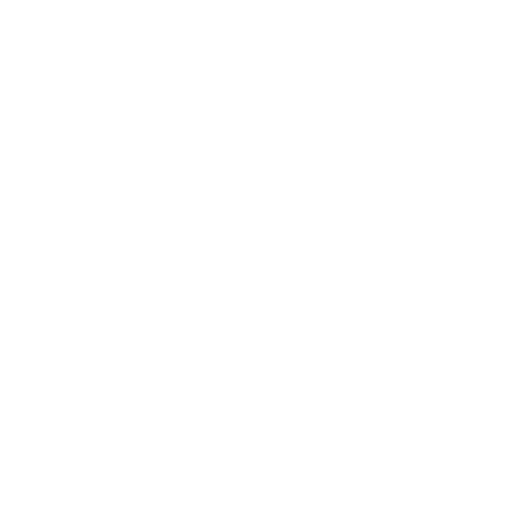 El Bike Project logo