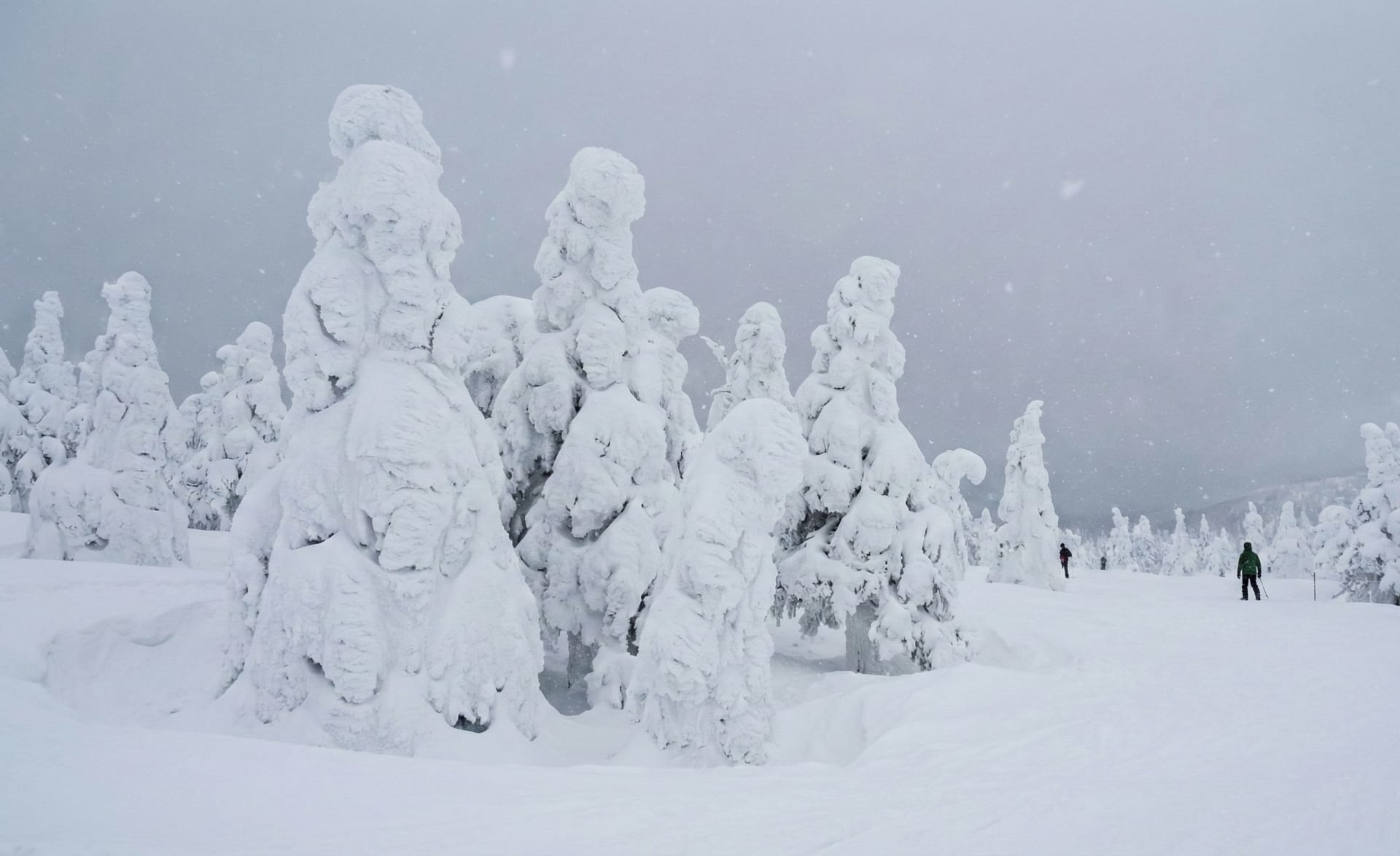 Hakkoda Snow Monsters (Juhyo)