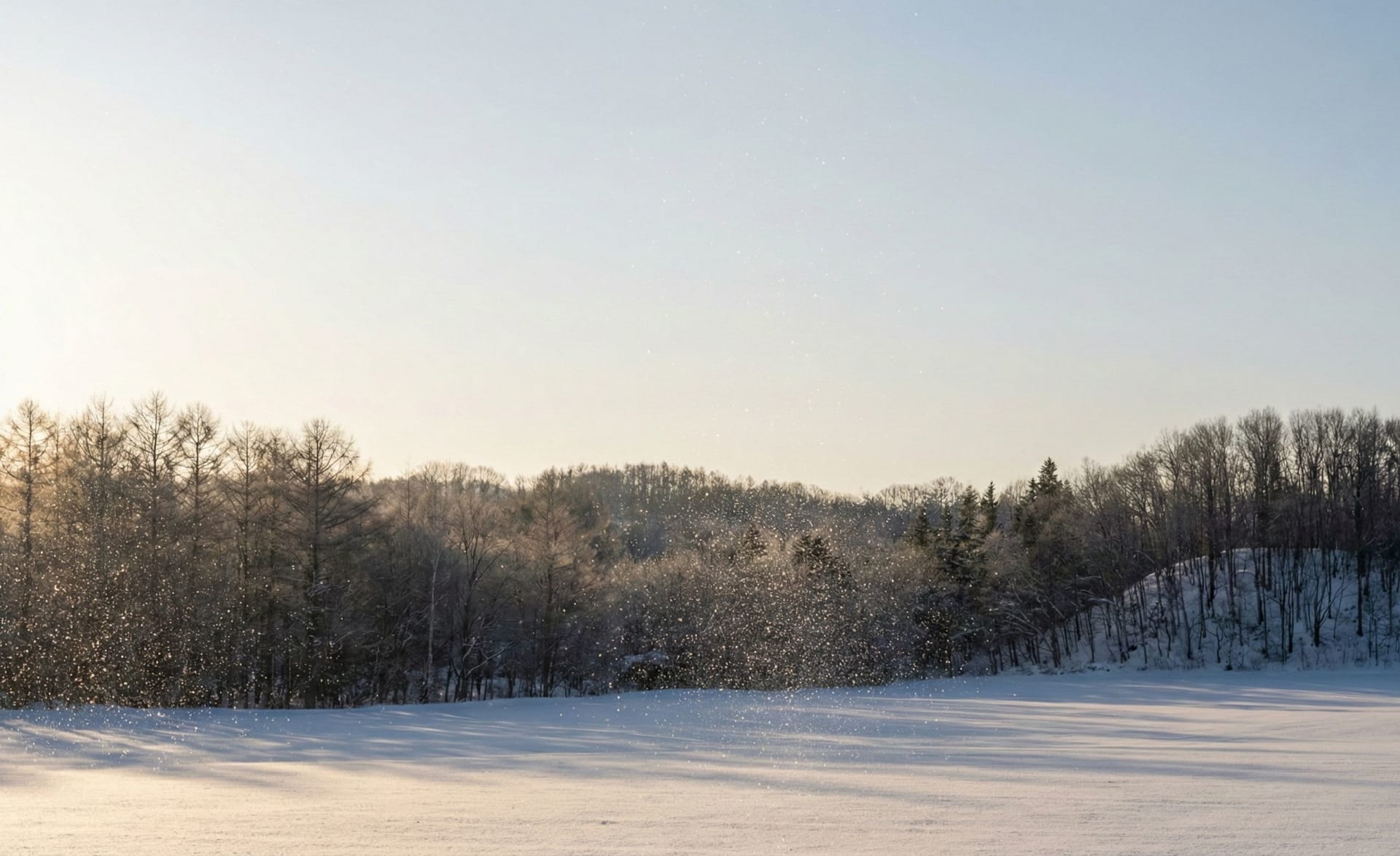 Hokkaido Diamond Dust