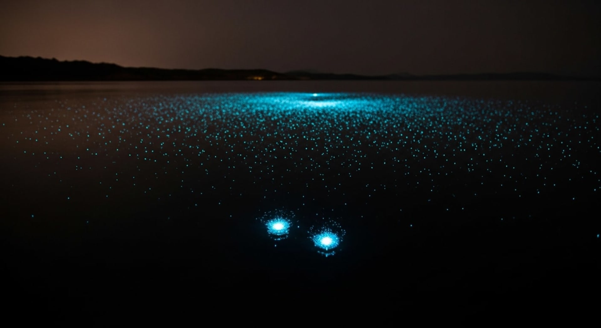 Sea Firefly (Umi-hotaru) Swarms