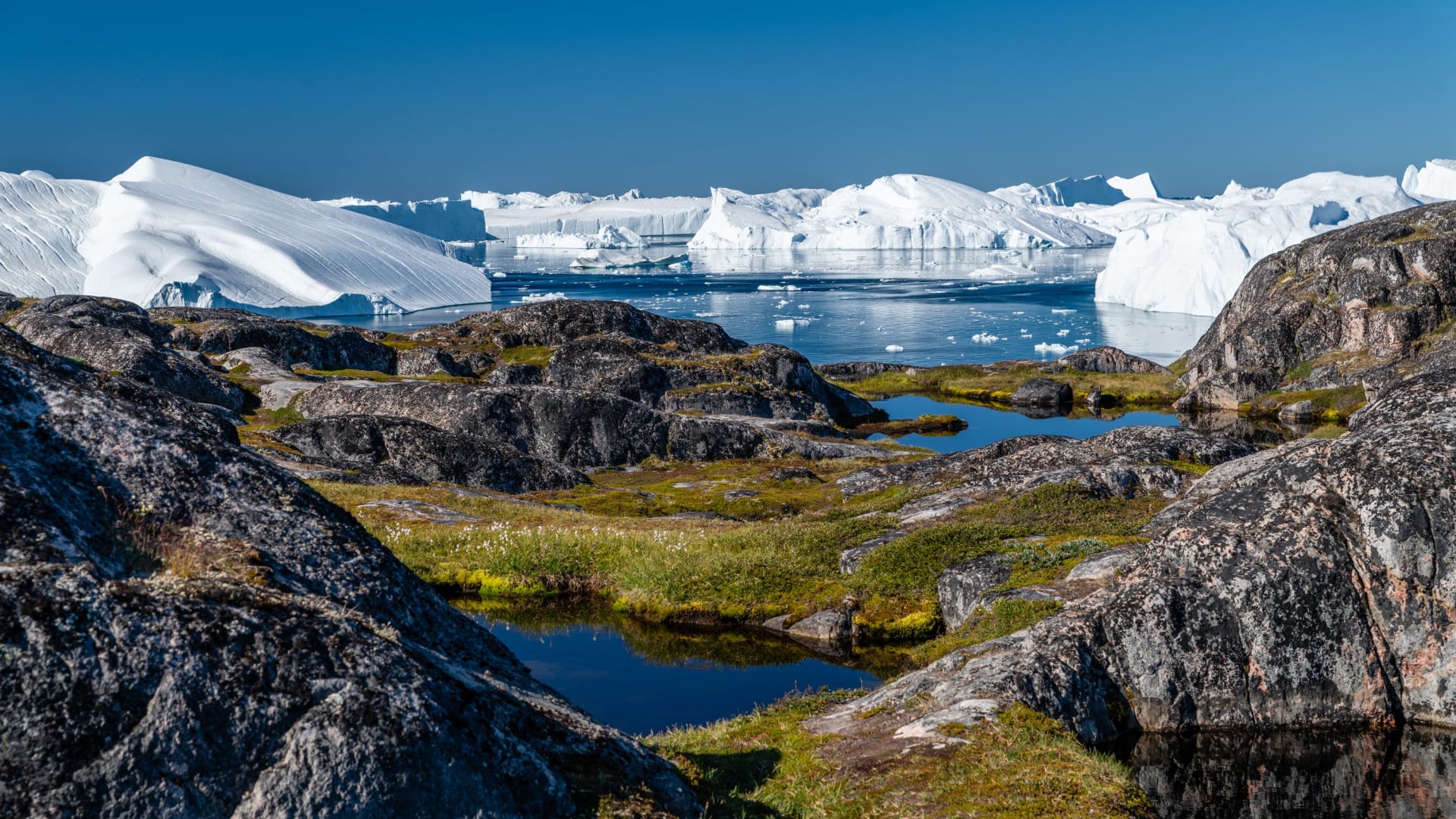 Ilulissat Icefjord Iceberg Jam