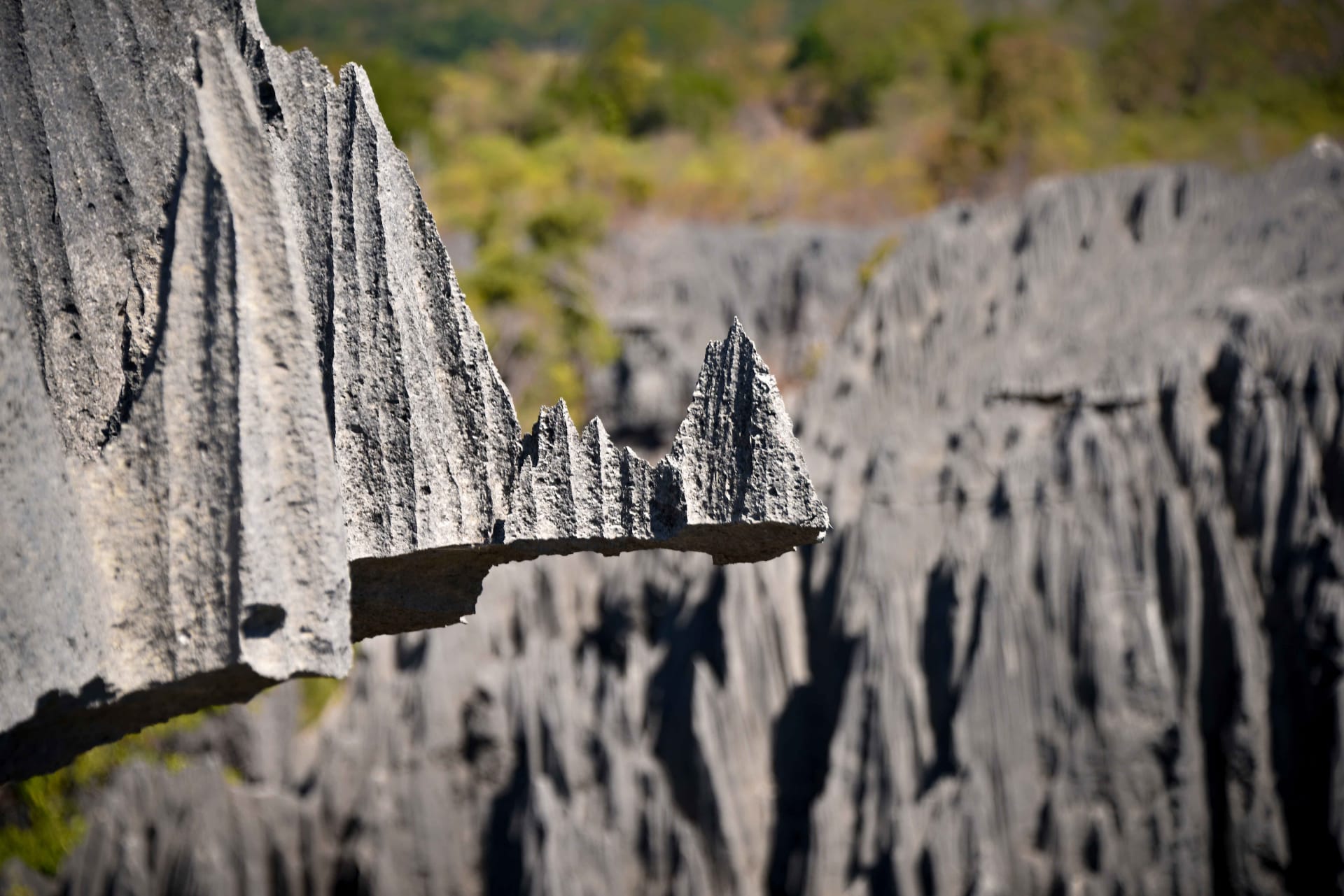 Tsingy de Bemaraha Stone Forest