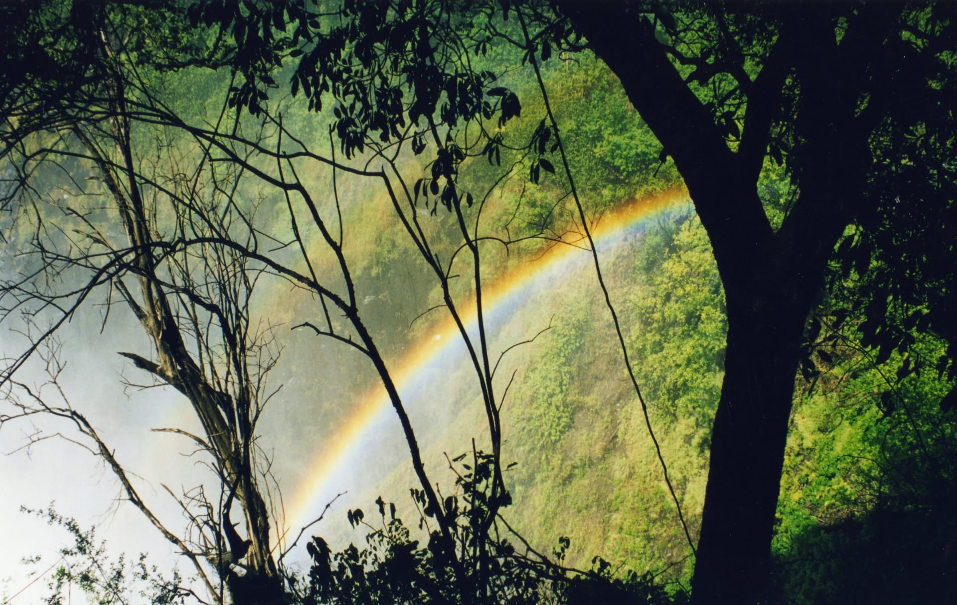 Victoria Falls Moonbow