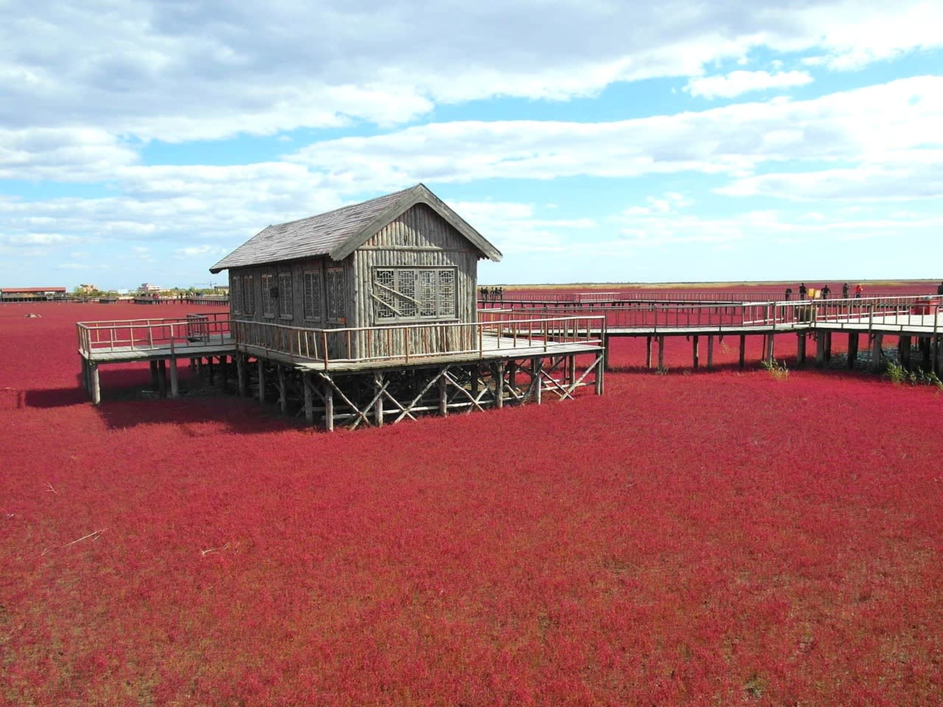 Panjin Red Beach (Seepweed)