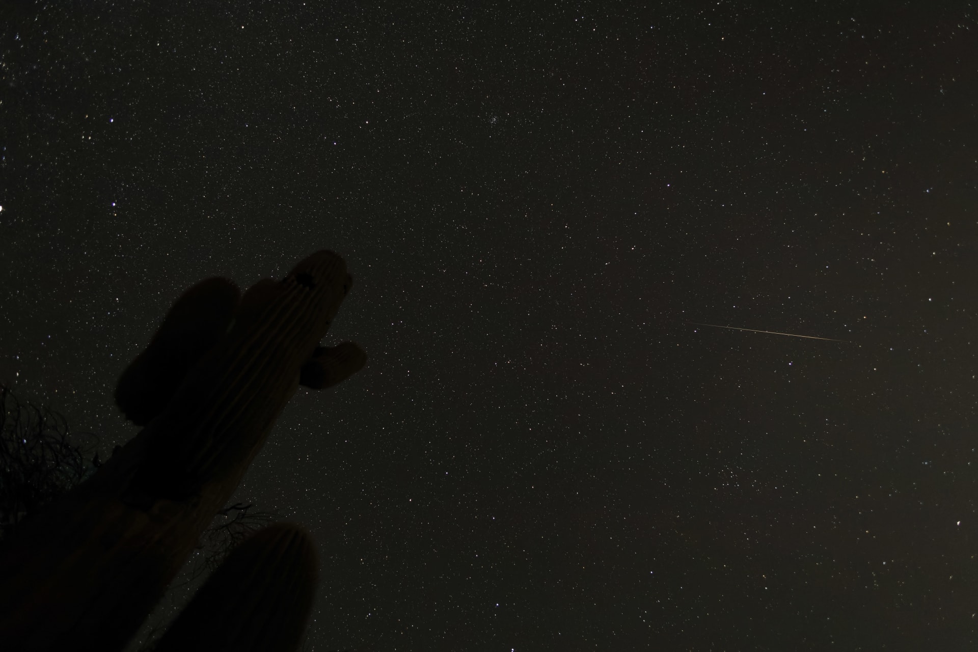 Ursid Meteor Shower