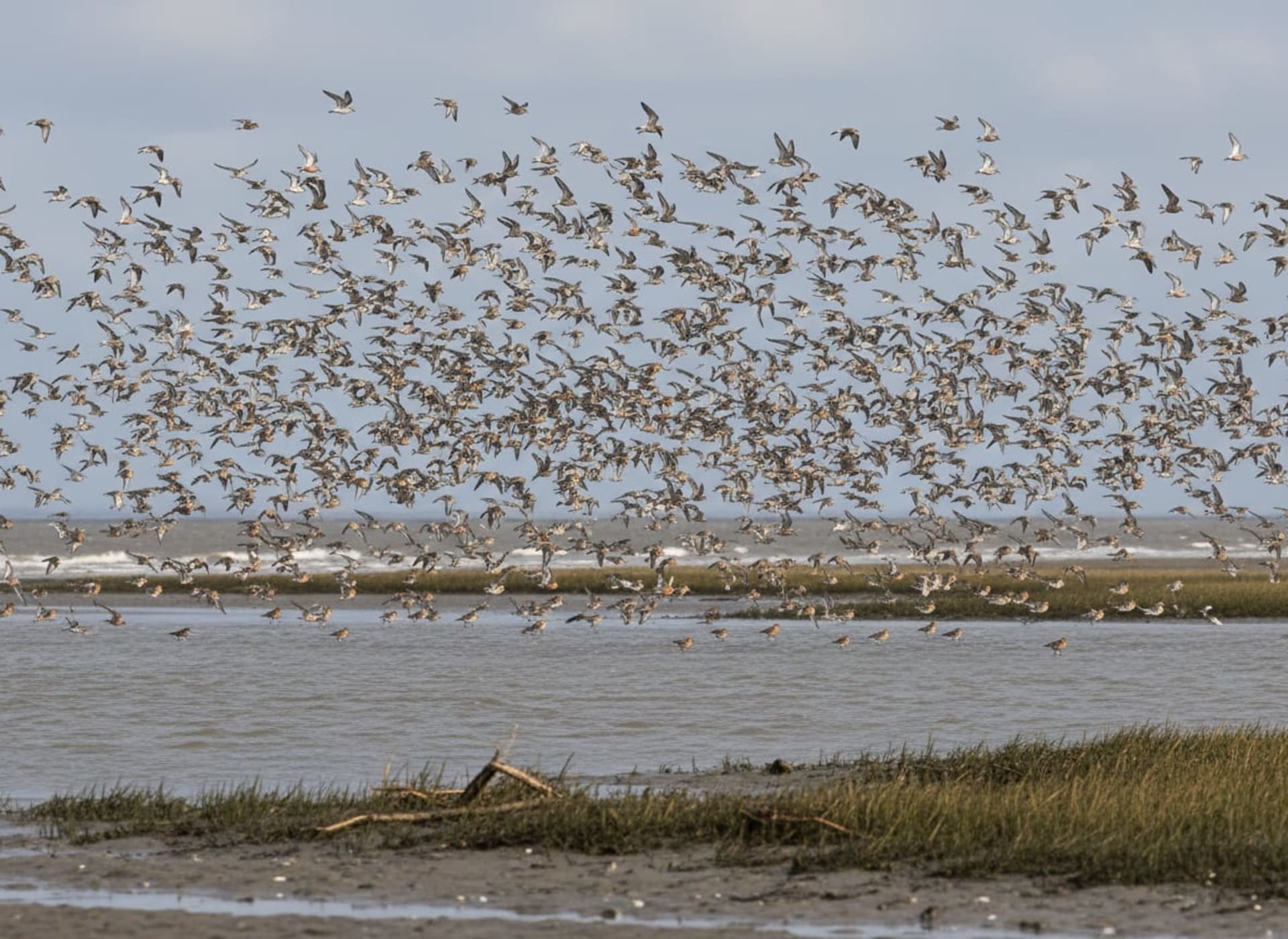 Snettisham Knot Whirling