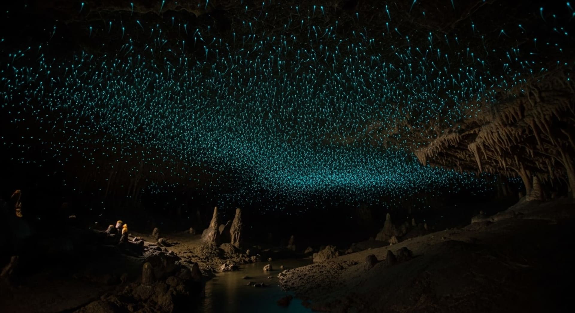 Waipu Glowworm Caves