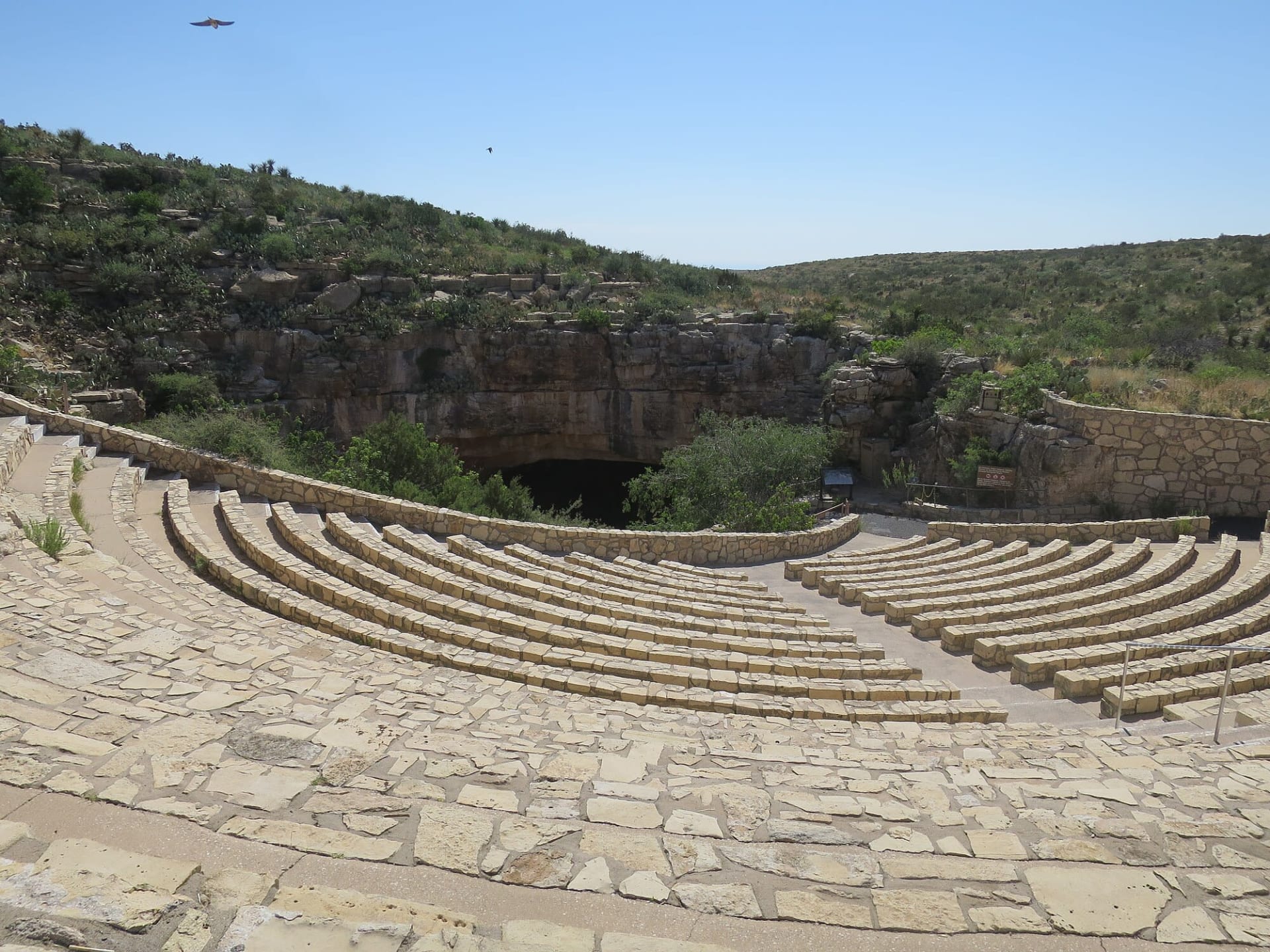Carlsbad Caverns Bat Flight