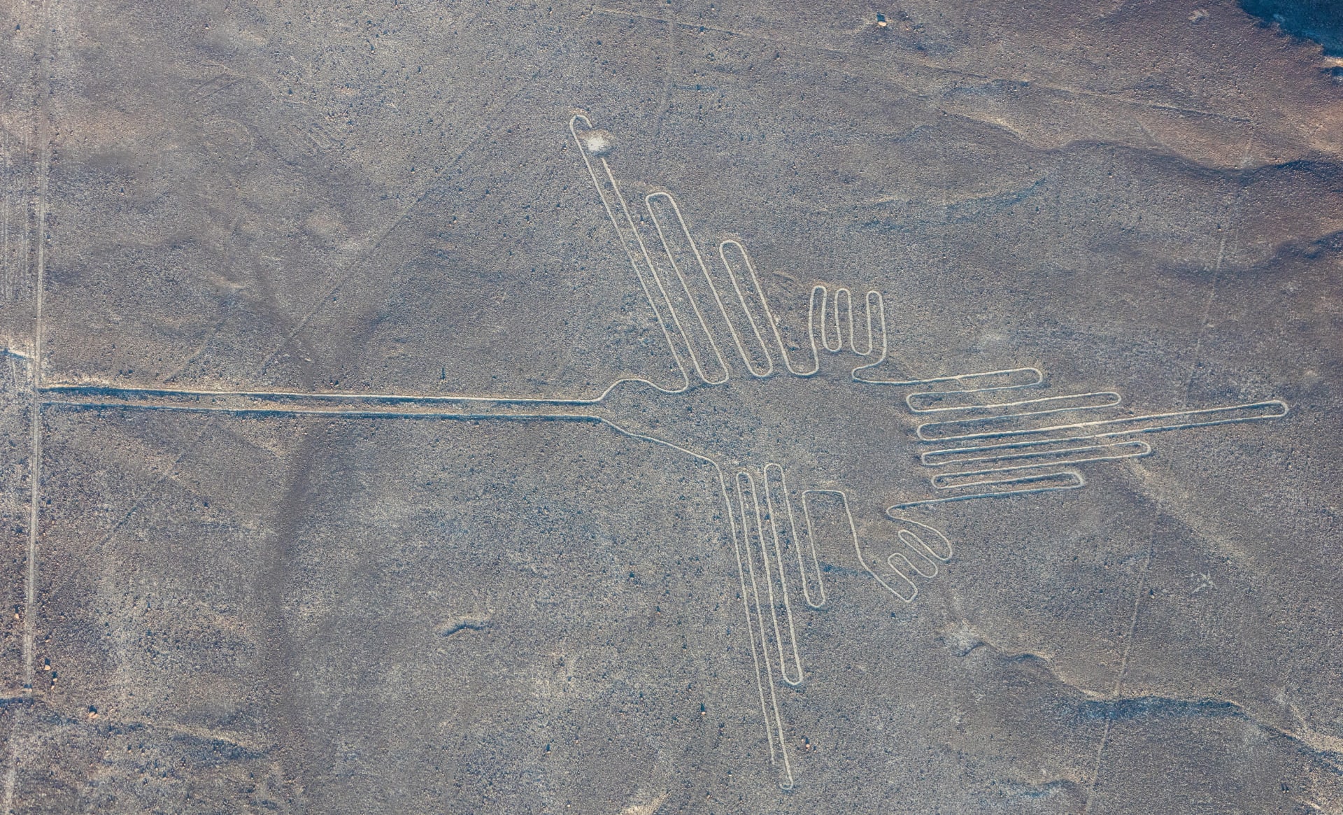 Nazca Lines Whale Migration Corridor