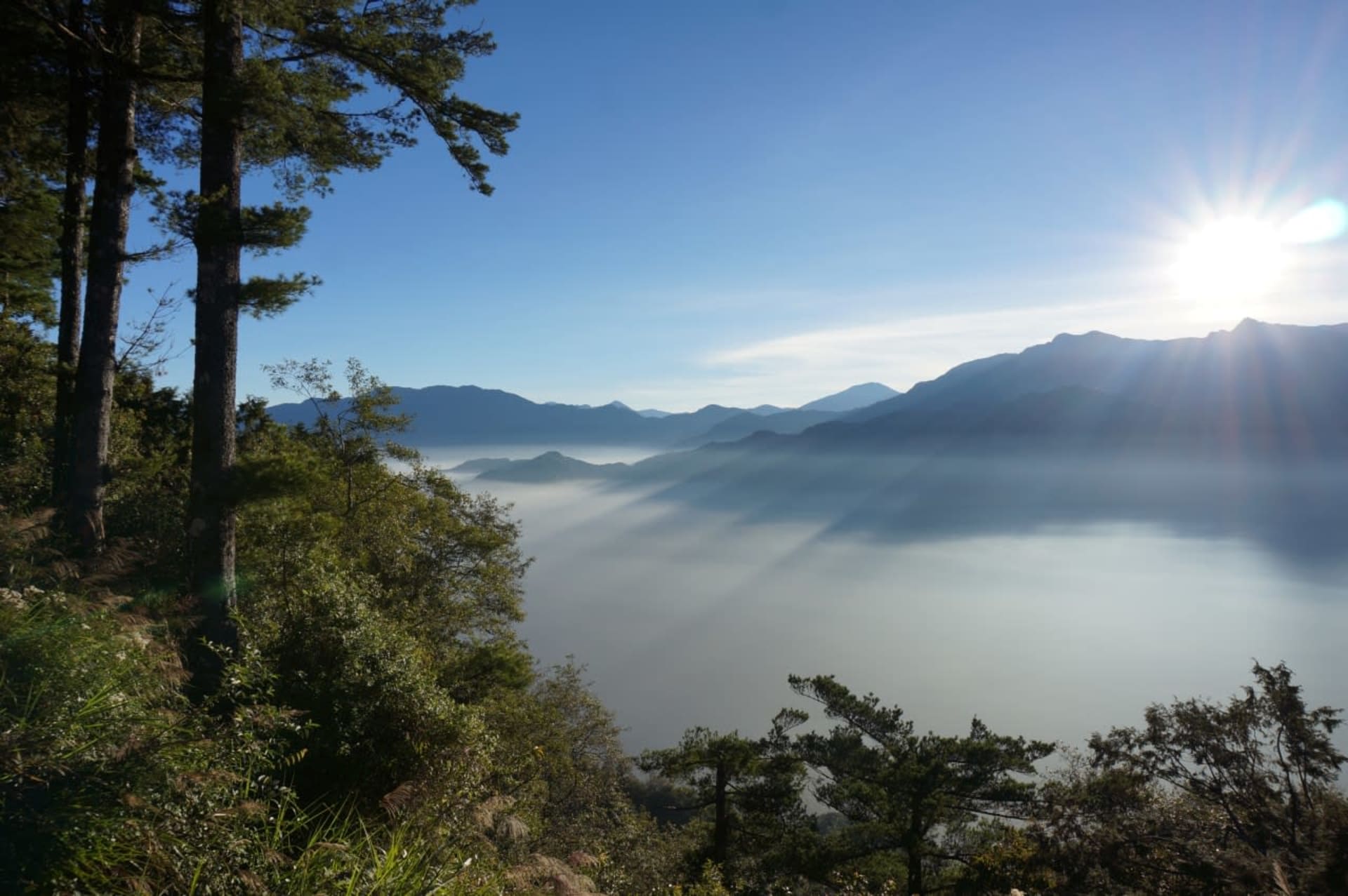 Alishan Sea of Clouds Sunrise