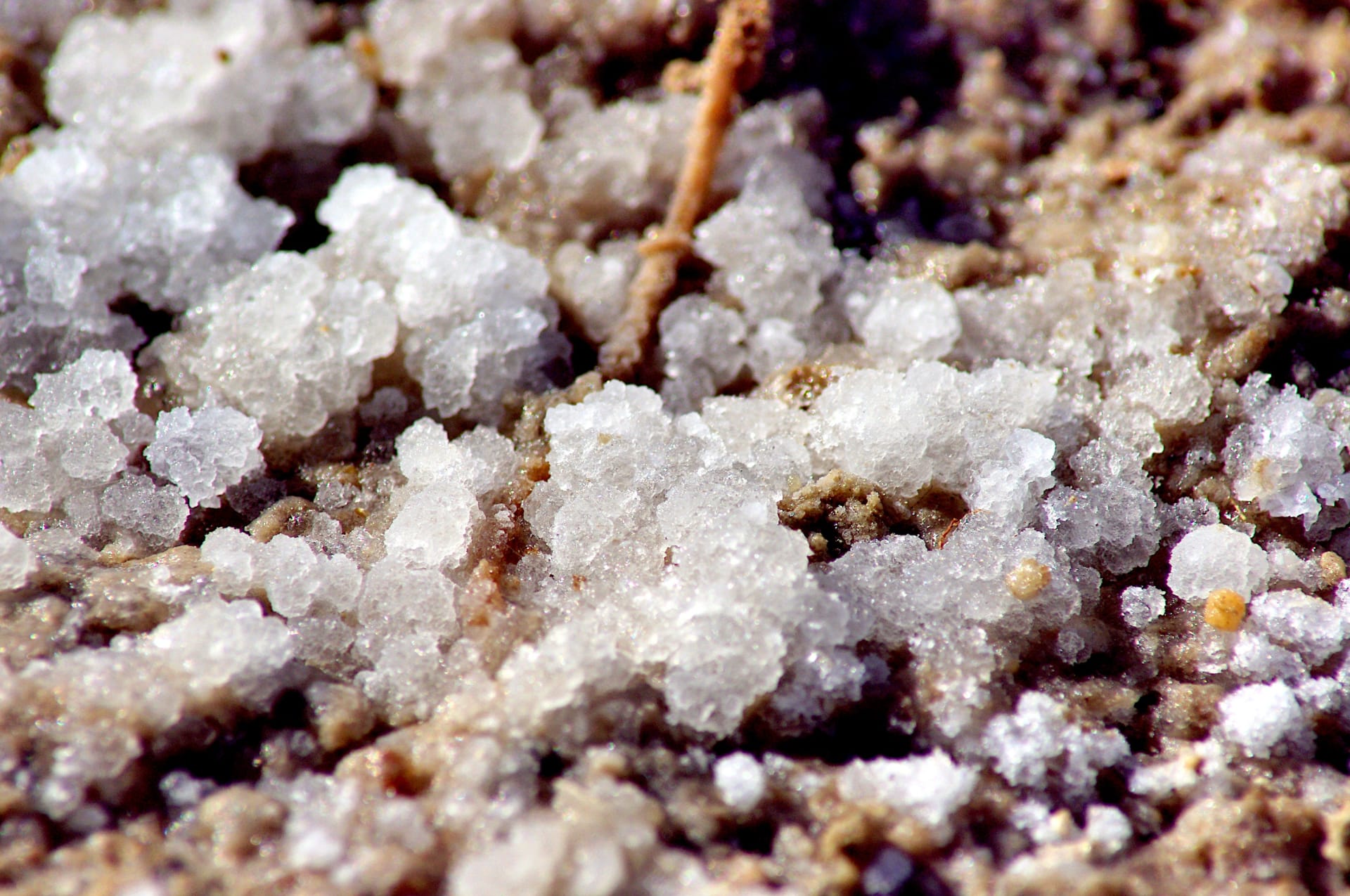 Dead Sea Salt Crystal Formations