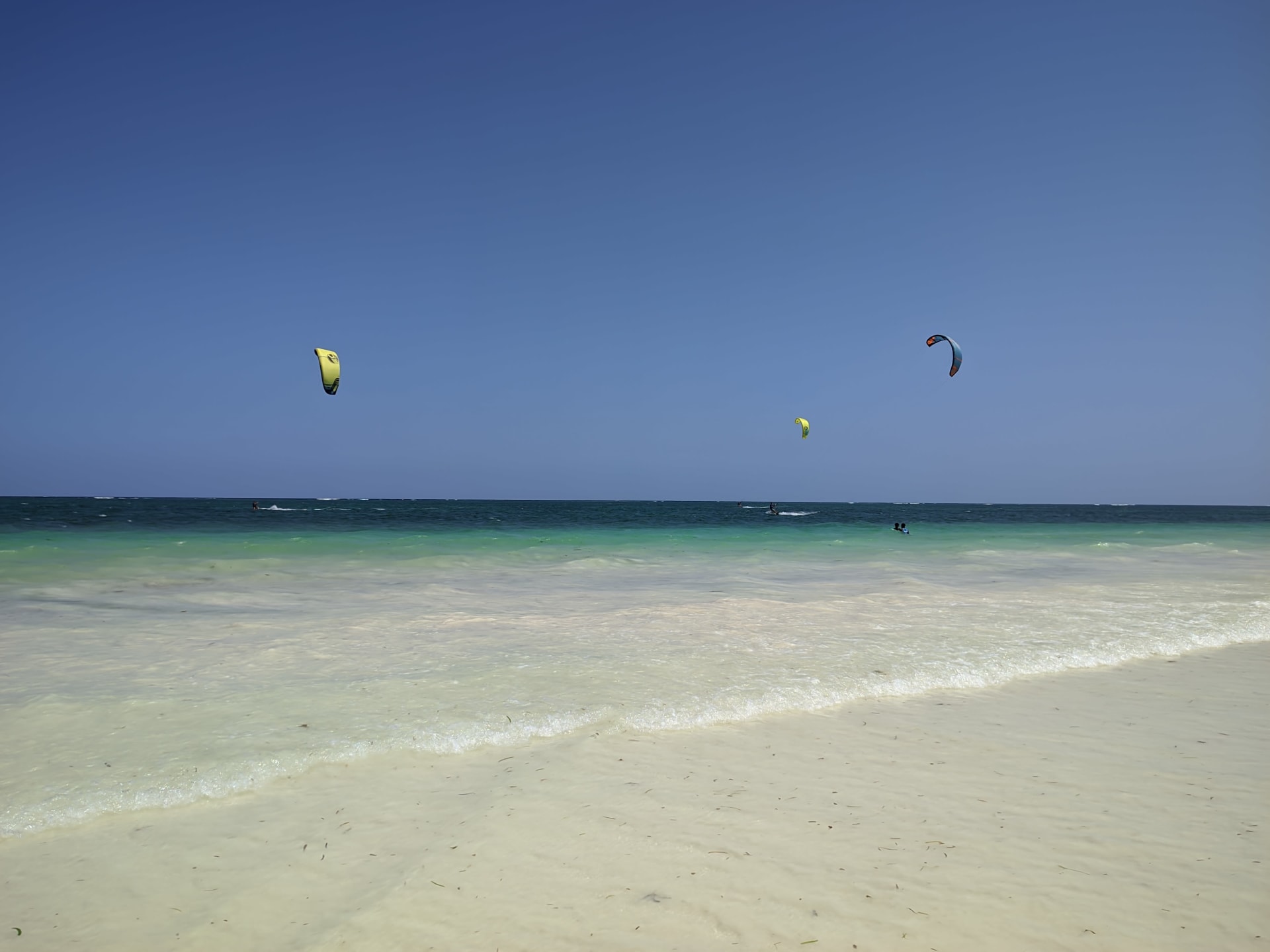 Diani Beach Green Turtle Nesting