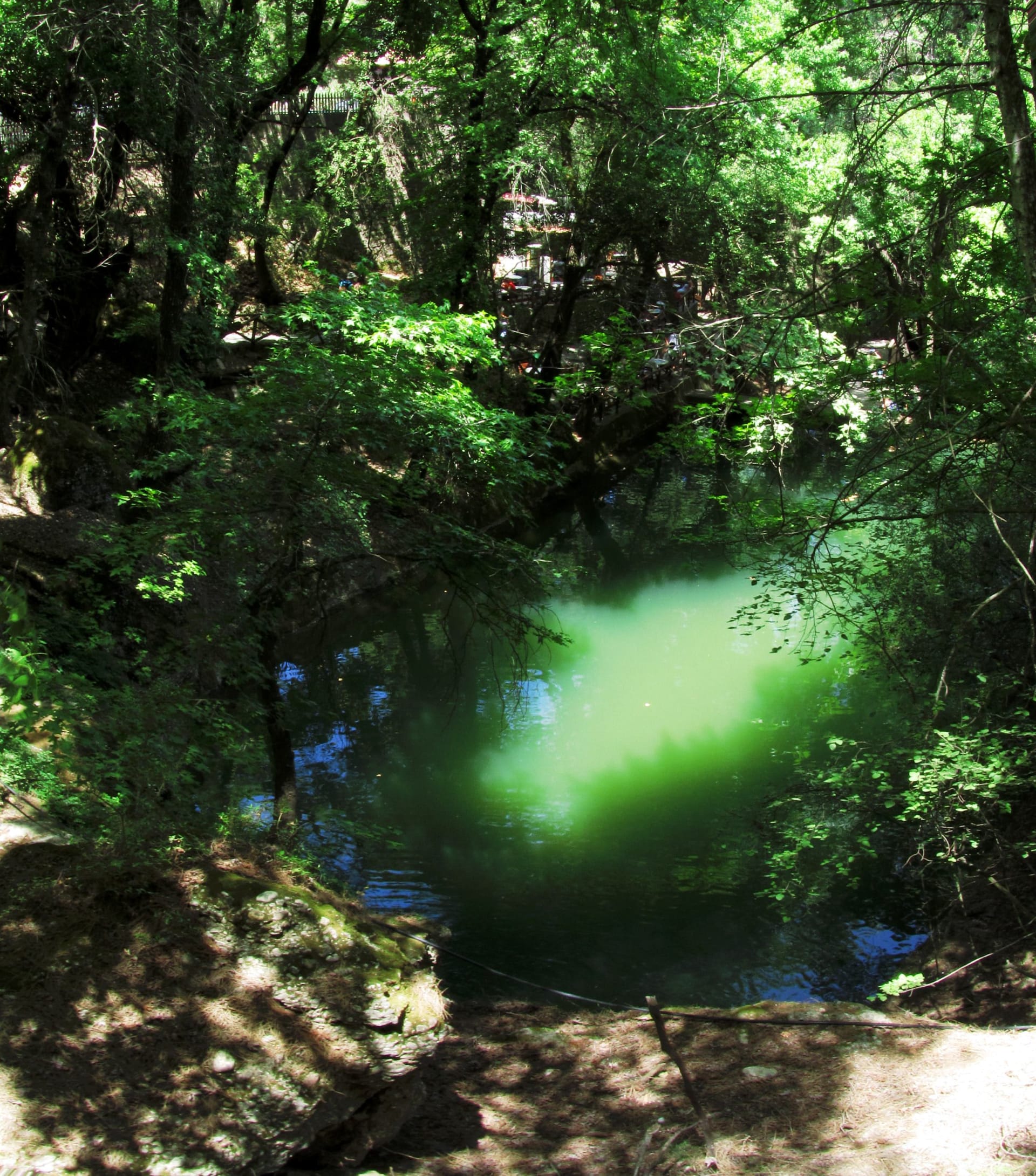 Valley of the Butterflies (Petaloudes, Rhodes)