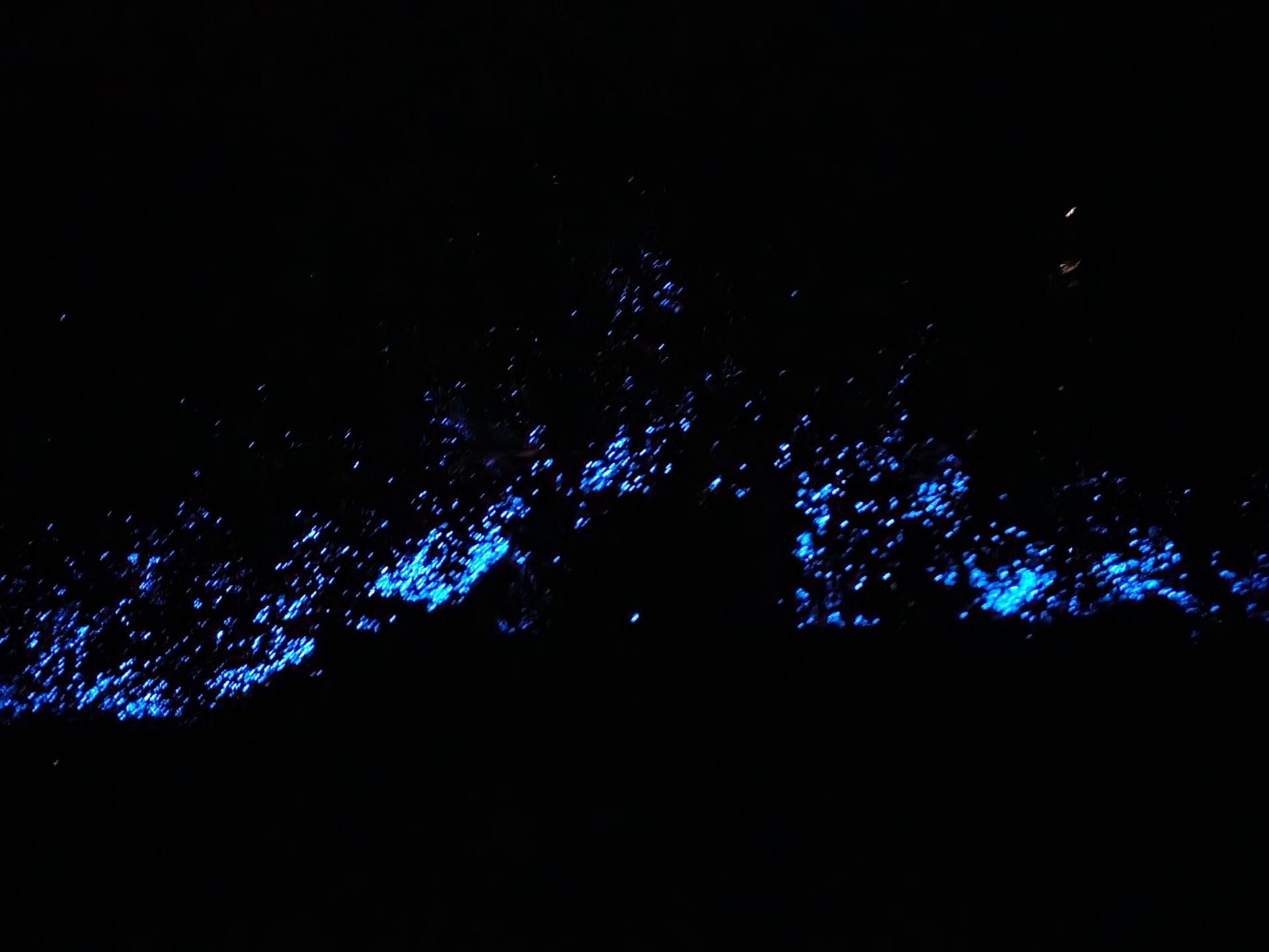 Blue Tears (bioluminescence) - Pingtan Island