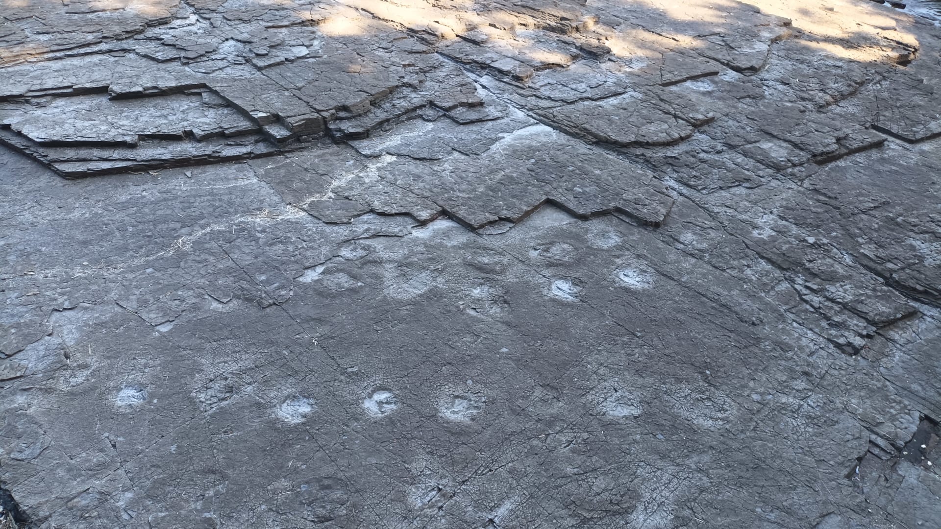Goseong dinosaur footprints (Deokmyeong-ri / Sangjogam)