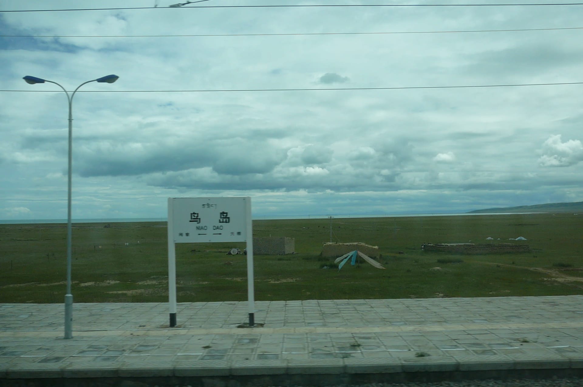 Qinghai Lake (Niaodao) breeding season