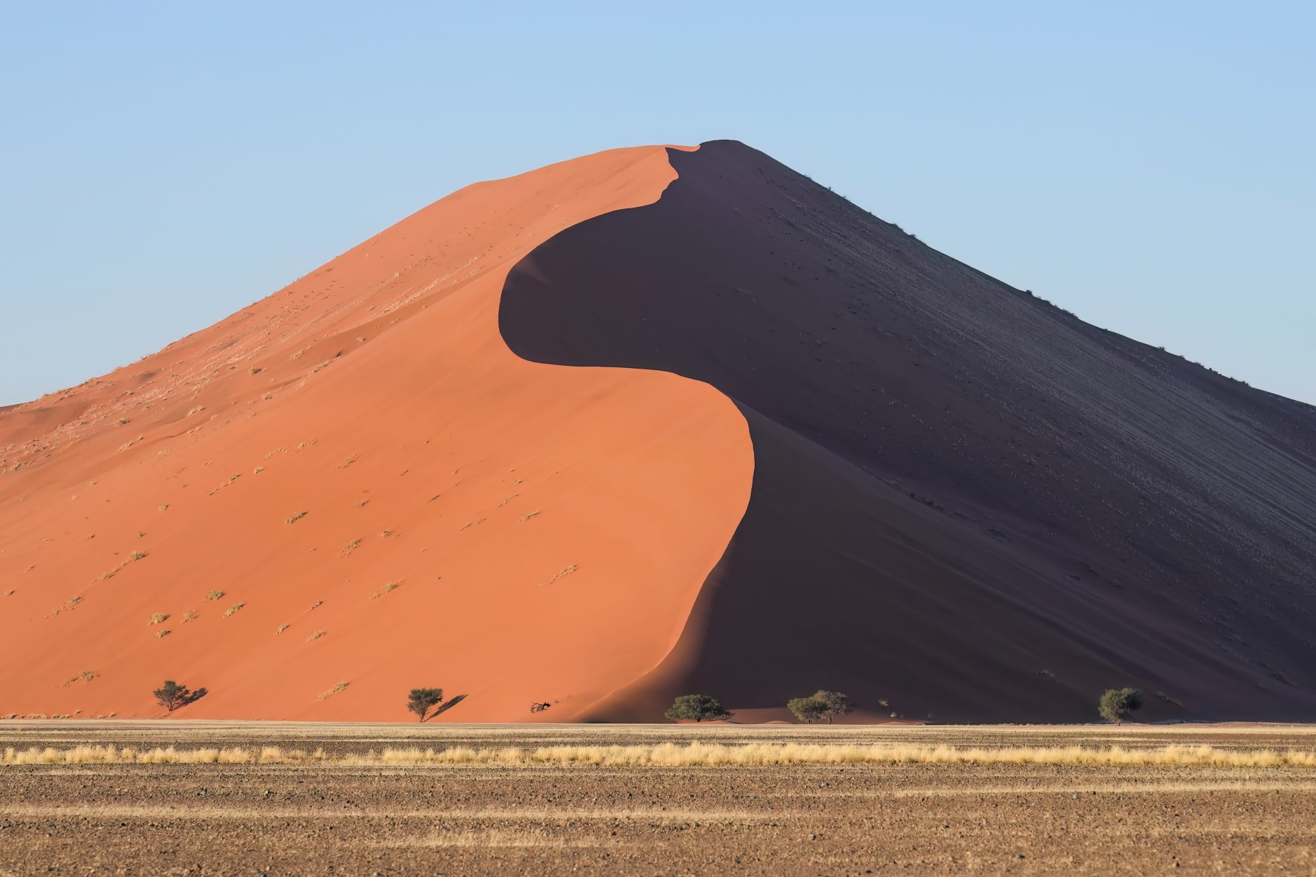 Sossusvlei Red Dune Sunrise Shadow Play