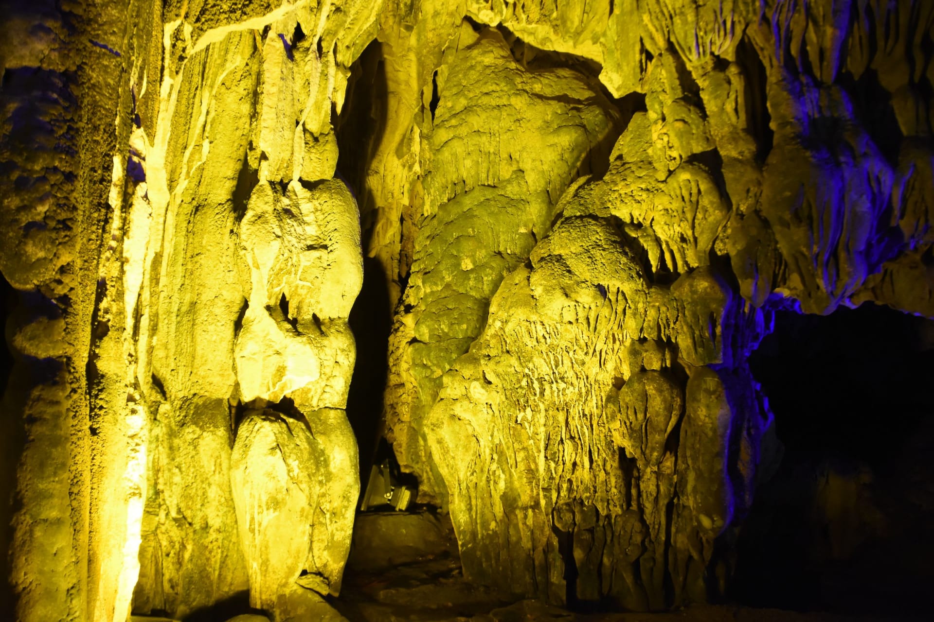 Gomantong Cave Bat and Swiftlet Exodus