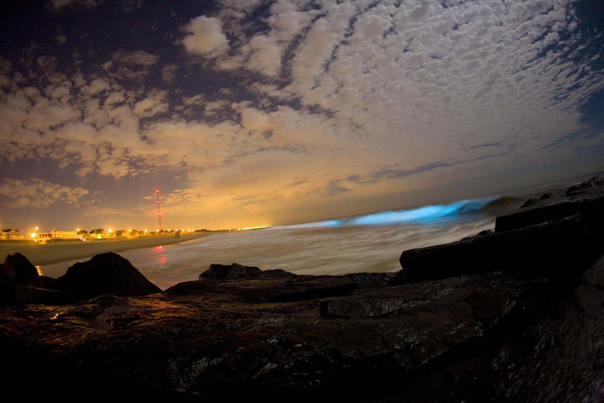 Coastal Bioluminescent Red Tide (San Diego)
