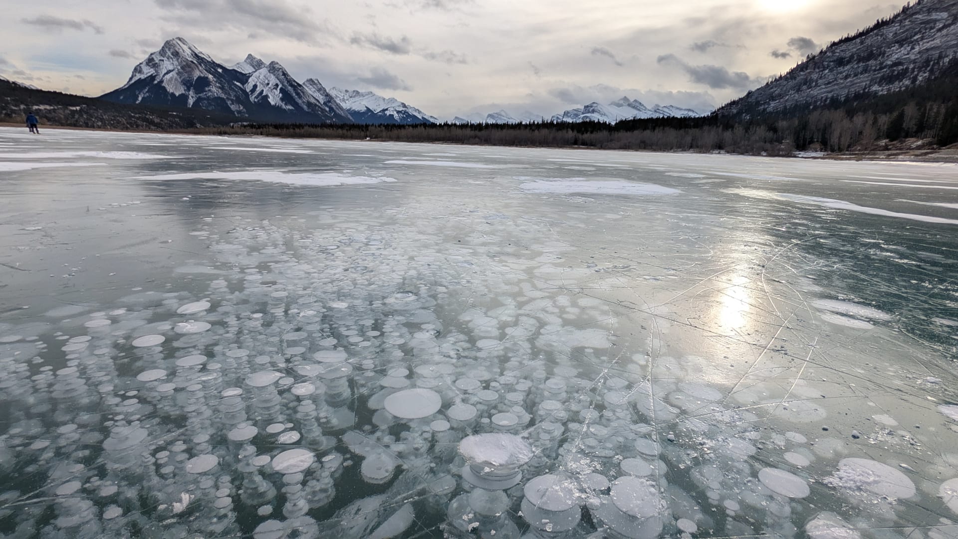 Lake Nukabira Ice Bubbles