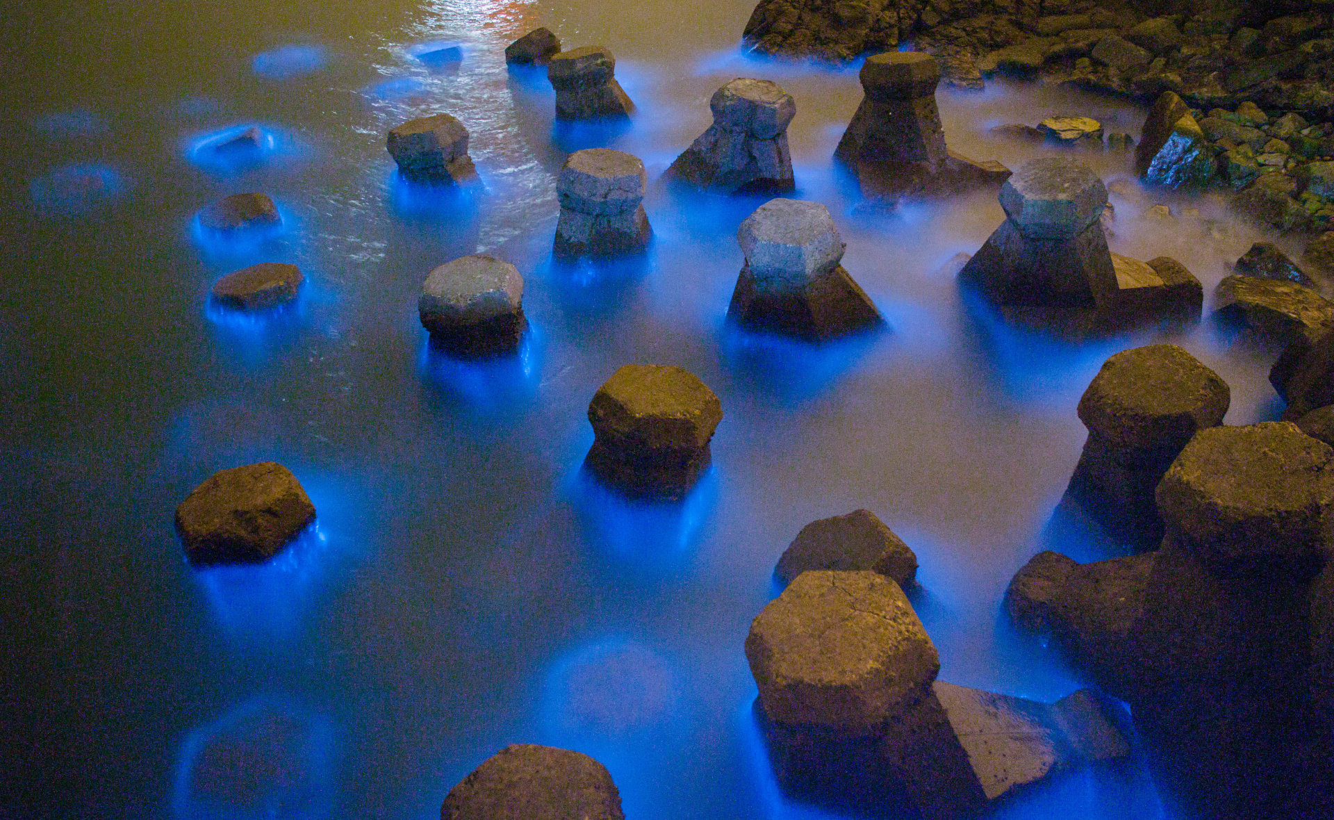 Matsu Blue Tears Bioluminescence