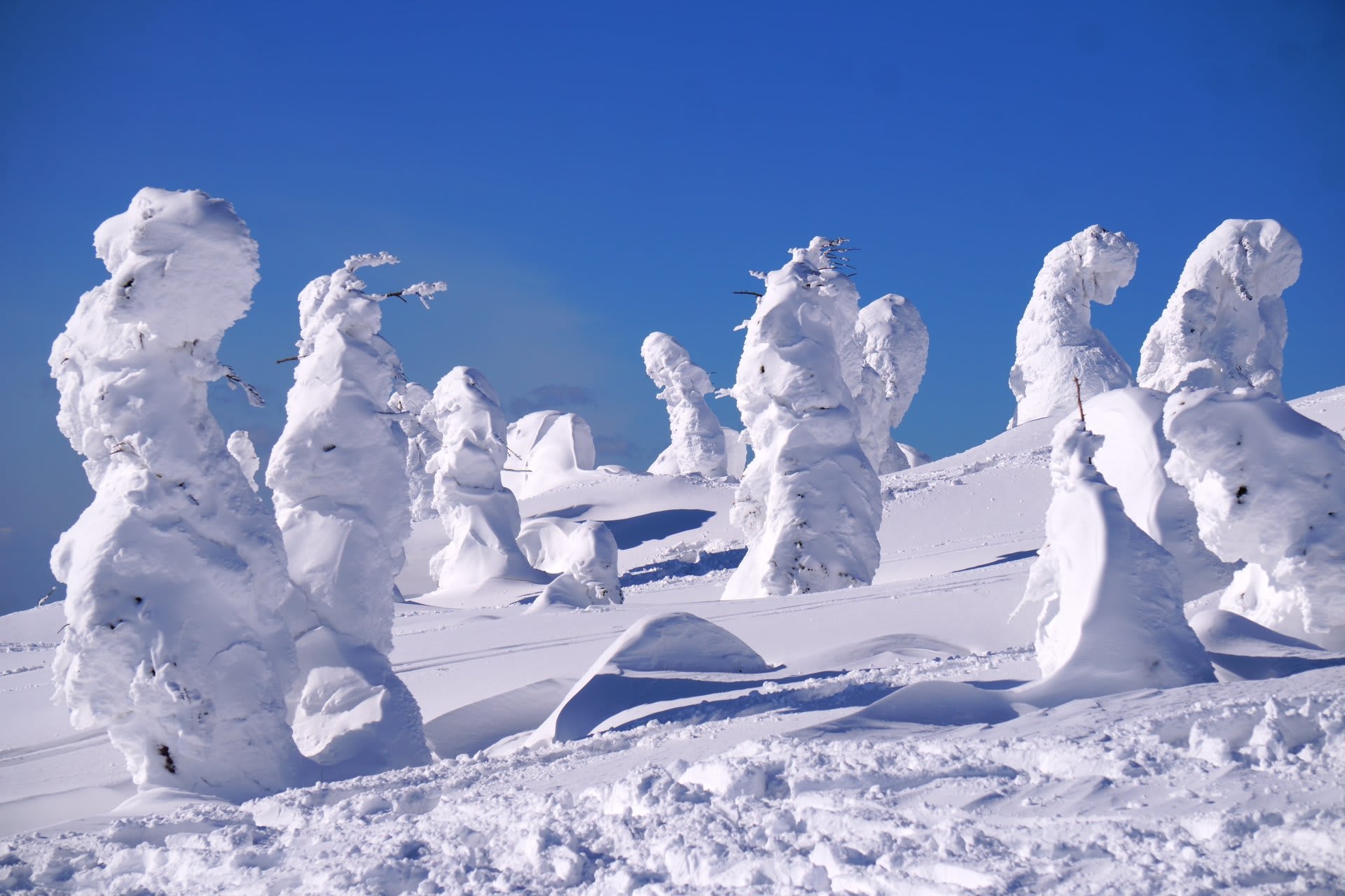 Moriyoshi Snow Monsters (Juhyo)