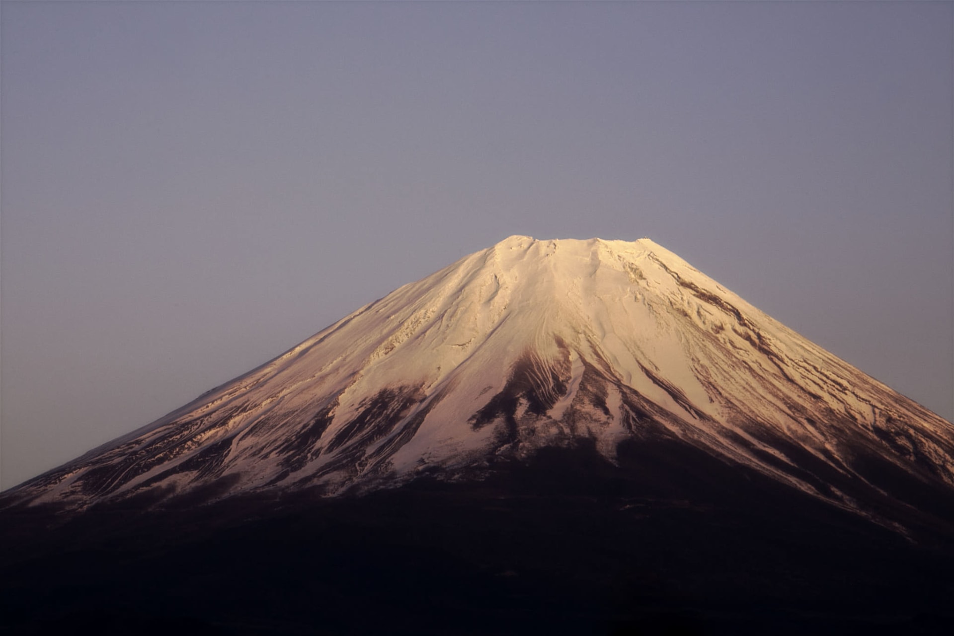 Benifuji (Crimson Fuji)