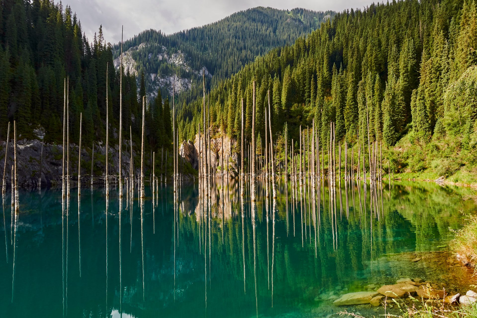 Lake Kaindy Sunken Forest