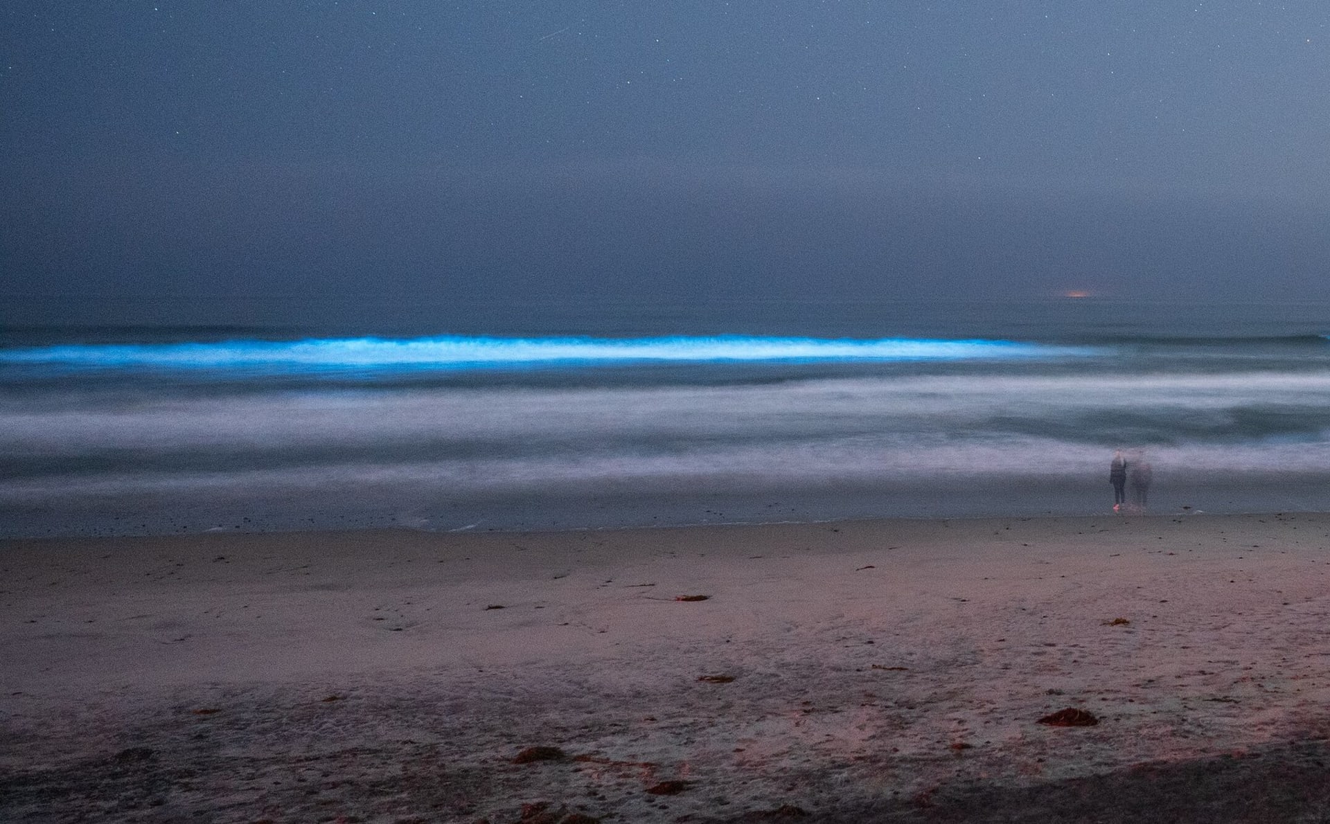 Detwah Lagoon Bioluminescence