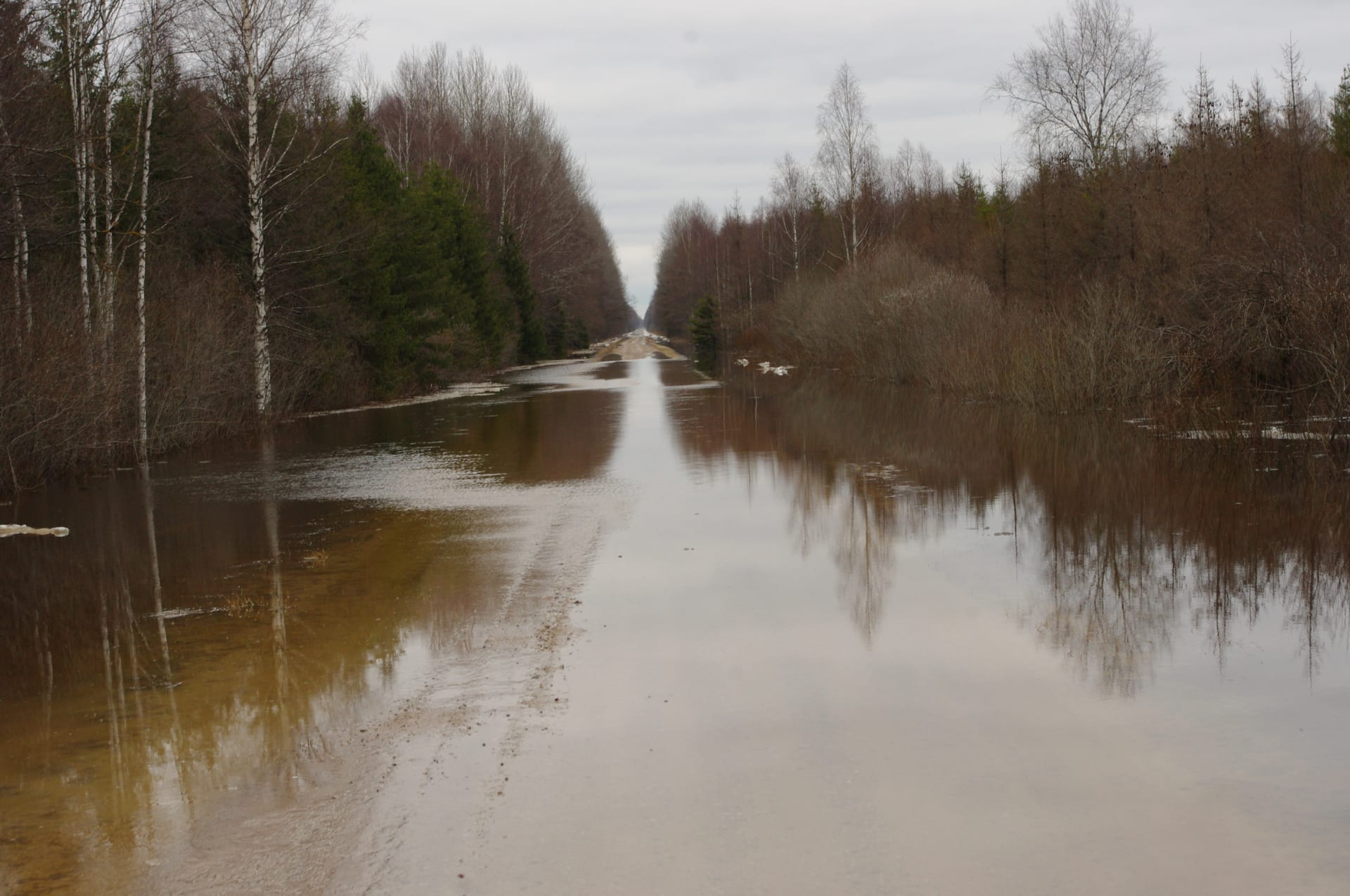 Soomaa Fifth Season Flood