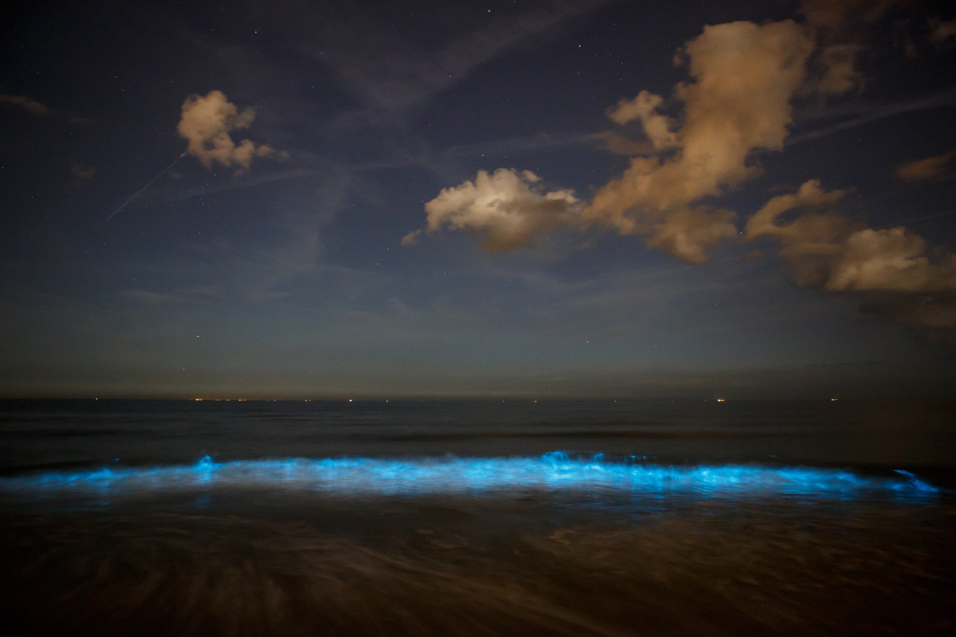 Andaman Sea Bioluminescent Plankton