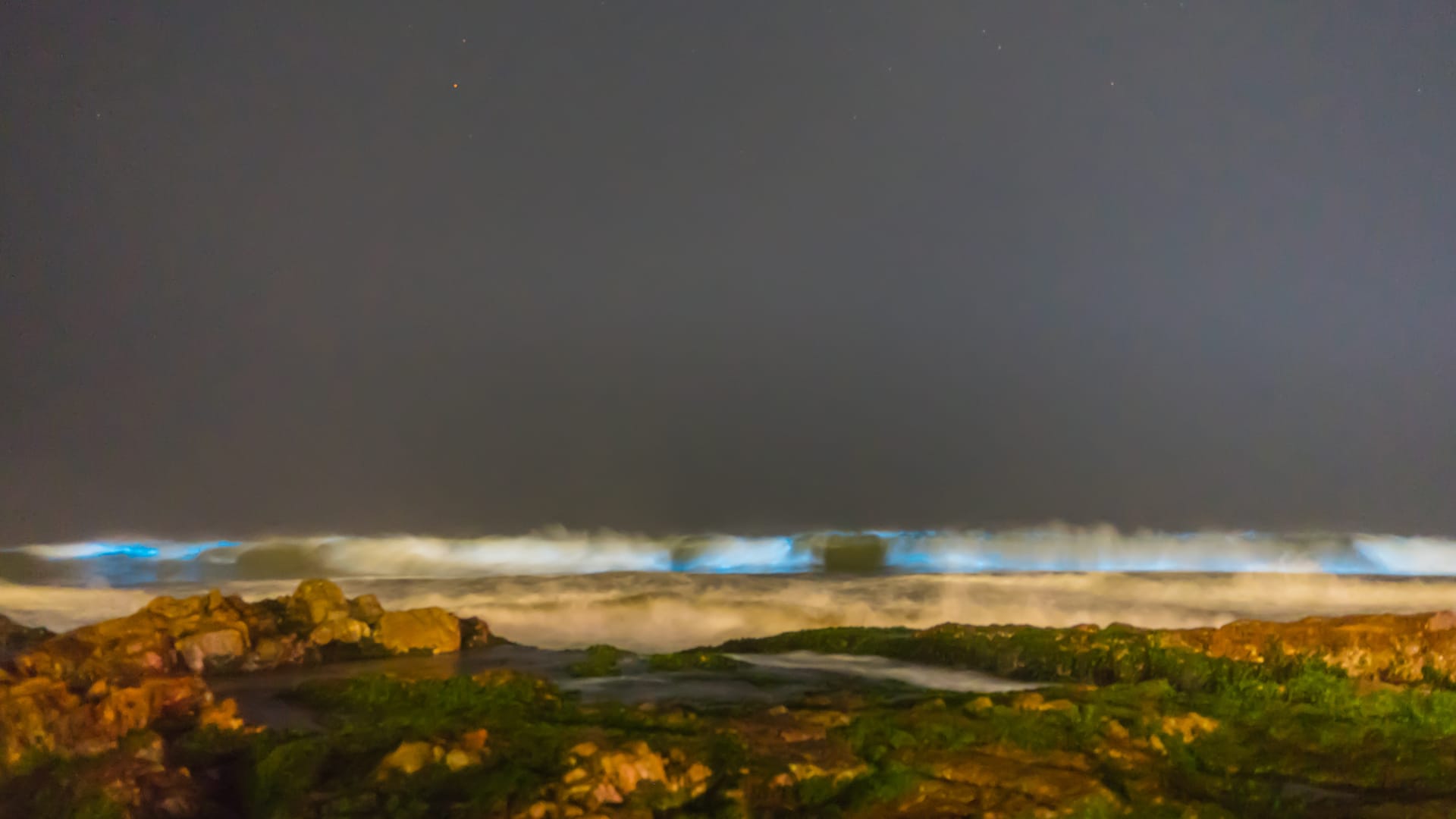 Isla Holbox Bioluminescent Plankton
