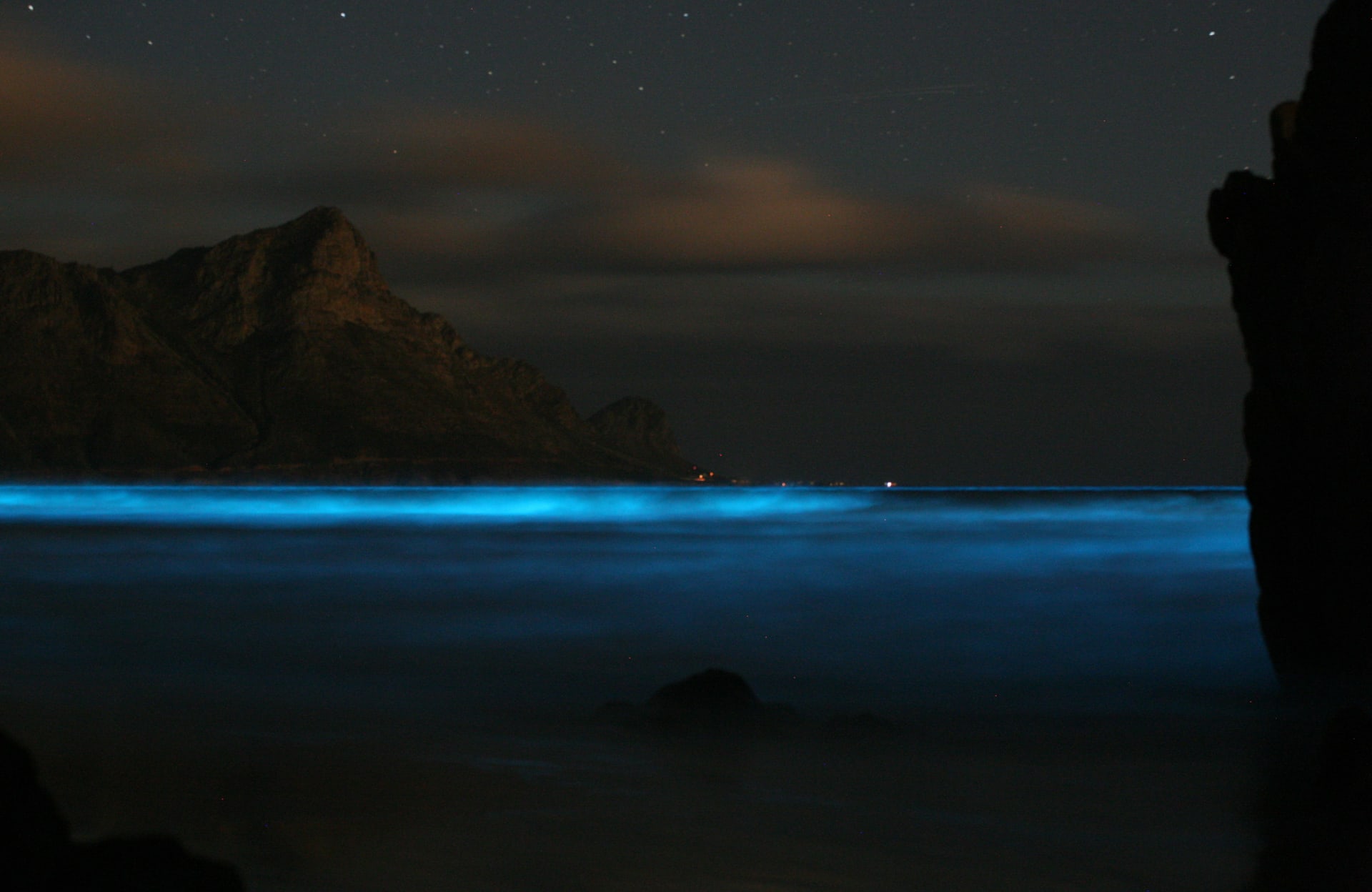 Phú Quốc Bioluminescent Plankton
