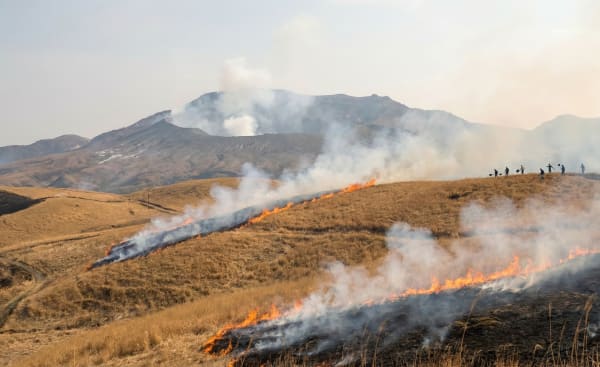 Aso Noyaki (Grassland Burning)