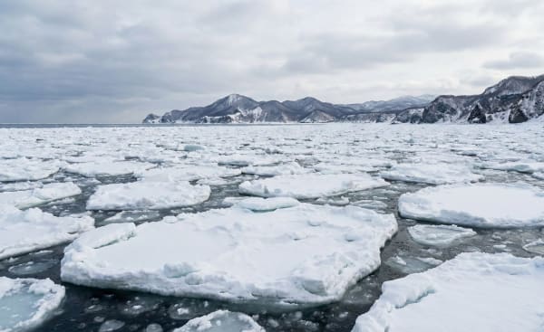 Okhotsk Drift Ice