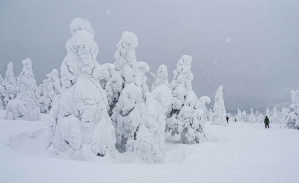 Hakkoda Snow Monsters (Juhyo)