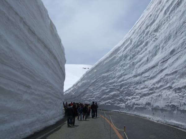 Tateyama Snow Wall
