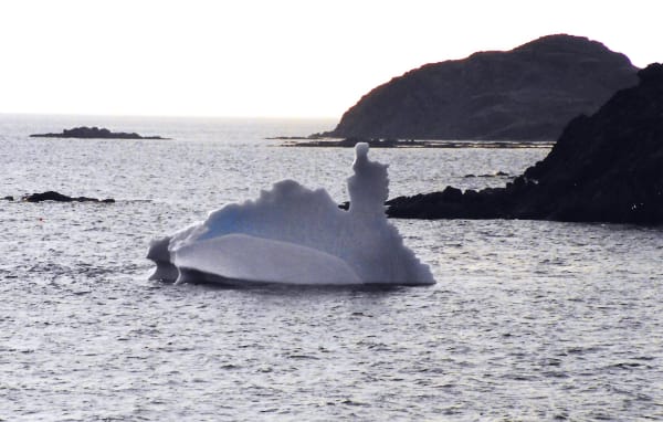 Iceberg Alley (Newfoundland)