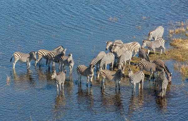 Okavango Delta Peak Flood Inundation