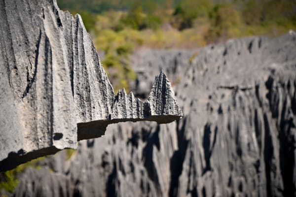 Tsingy de Bemaraha Stone Forest