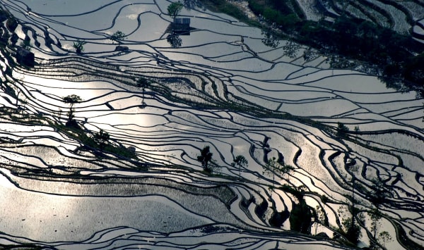 Yuanyang Rice Terrace Mirror Reflections