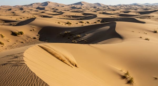 Kelso Dunes Booming Sand
