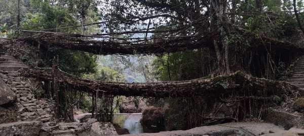 Cherrapunji Living Root Bridges - Monsoon Peak
