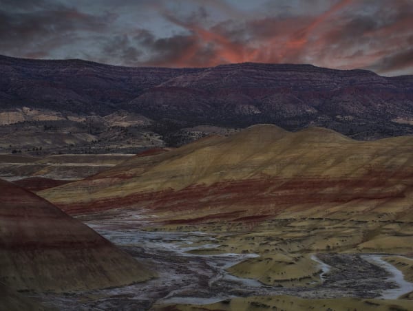 Painted Hills wildflower bloom