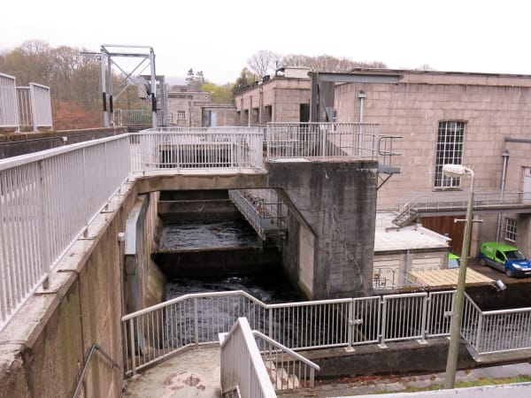Pitlochry Salmon Run (Fish Ladder)