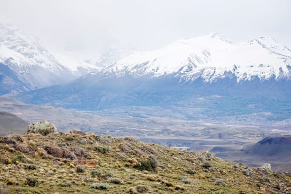 Puma Tracking in Torres del Paine
