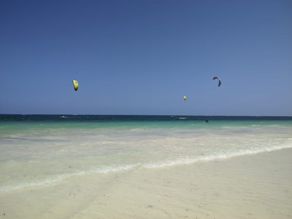 Diani Beach Green Turtle Nesting