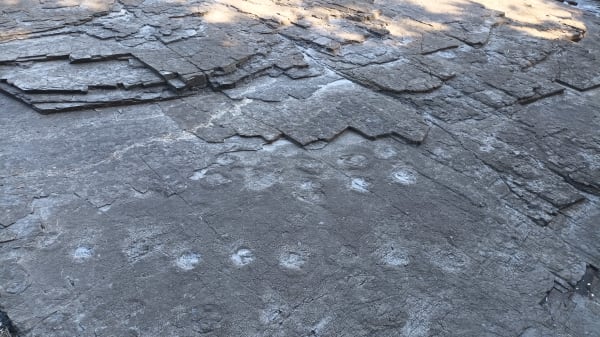 Goseong Dinosaur Footprints