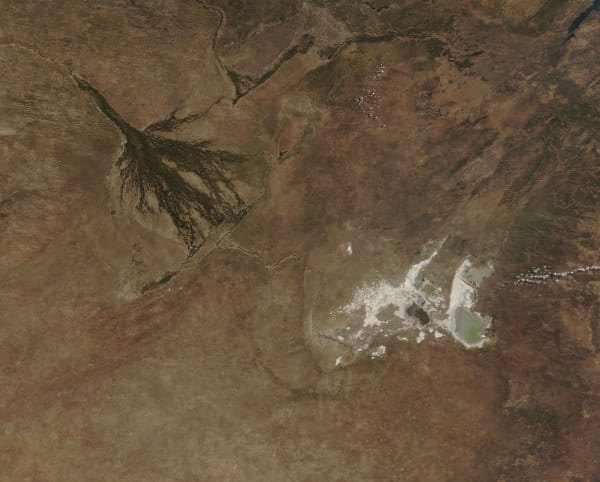 Makgadikgadi Flamingo Breeding Season