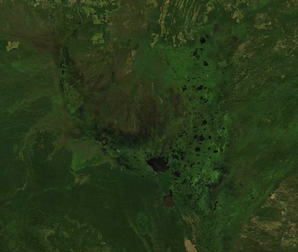 Pantanal Jaguar Season